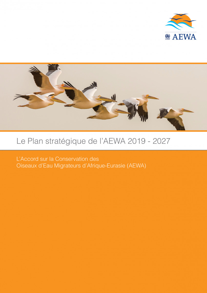 Plan stratégique de l'AEWA